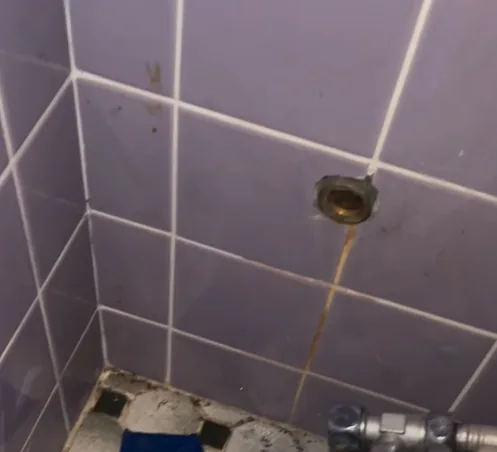 井戸水による鉄分汚れ 詰まり